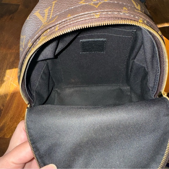 Louis Vuitton Palm Springs PM - Picture 9 of 15